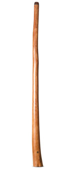 Wix Stix Opal Didgeridoo (WS408)